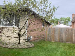 Shanise K.'s Lawn Service service result