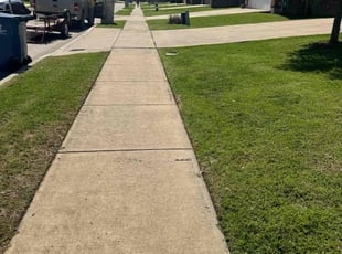 Alex P.'s Lawn Mowing service result