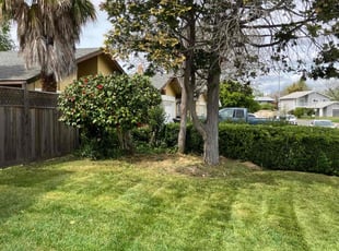 William W.'s Lawn Mowing service result