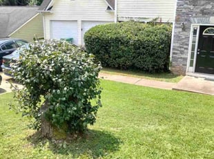 Bush Trimming by Antavious Douglas for Kwaku D. in Atlanta, GA