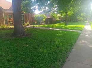Victor Y.'s Lawn Mowing service result