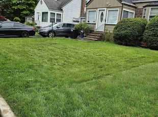 jessica h.'s Lawn Service service result