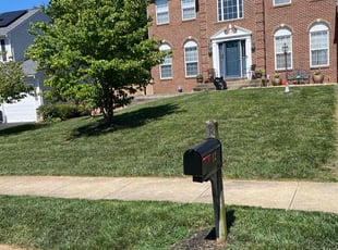 Tammie D.'s Yard Cutting service result