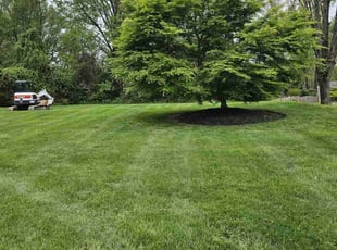Kevin K.'s Lawn Mowing Service service result