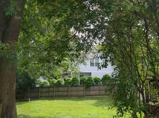 Andrew H.'s Lawn Care service result