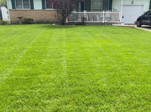 Eduardo P.'s Lawn Maintenance service result