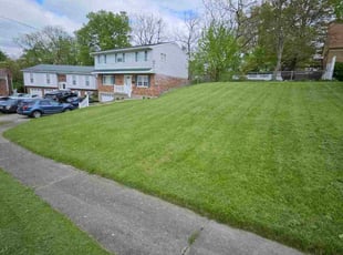 Richard B.'s Lawn Mowing service result