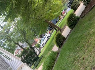 David L.'s Lawn Mowing service result
