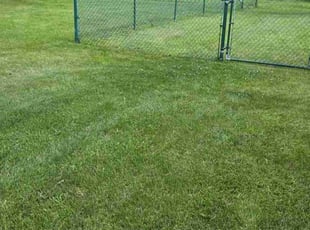 David B.'s Lawn Care service result