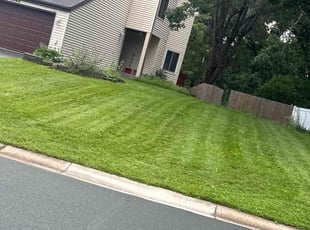 Robin P.'s Lawn Mowing service result