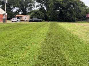 Tess S.'s Lawn Service service result