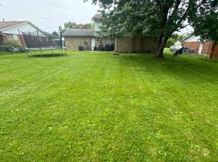 John M.'s Lawn Mowing service result