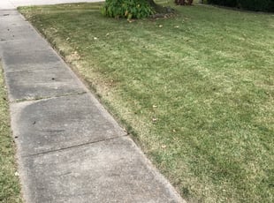 Cleanups by Warren Matthew for Jasmine L. in Florissant, MO