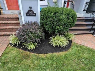 Mulching by Jose Paz for Ryan B. in Washington, DC
