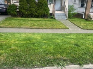 Terence L.'s Lawn Mowing service result