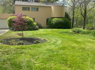 David H.'s Lawn Mowing service result