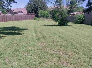 George L.'s Lawn Service service result