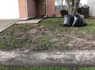 Leaf Removal by John Potter for Britney P. in Wylie, TX
