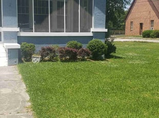 Leo P.'s Grass Cutting service result