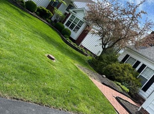 Carole B.'s Lawn Service service result