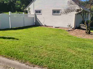 Kelvin P.'s Grass Cutting service result