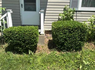 Bush Trimming by Tim Birch for Lois F. in Mohnton, PA