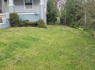 Annette D.'s Lawn Care service result
