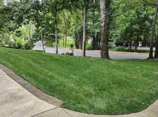 Dan M.'s Lawn Service service result