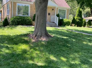 Tim M.'s Lawn Mowing service result