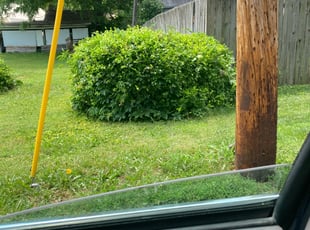 Bush Trimming by Larry Bell for Jim M. in Kansas City, MO