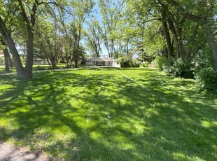 Ania S.'s Lawn Service service result