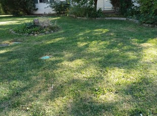 Bush Trimming by Dwight Moore for Tamika D. in Kansas City, MO