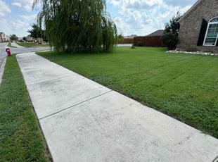 Debra G.'s Yard Cutting service result