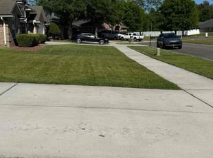 Michelle D.'s Lawn Mowing Service service result