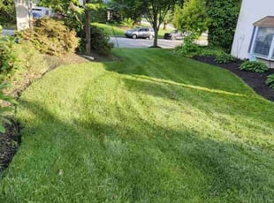 Lara G.'s Lawn Service service result
