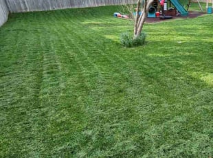 Juliet K.'s Lawn Mowing service result