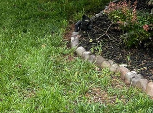 Weeding by Alesandre Duarte for Emmett W. in Sterling, VA