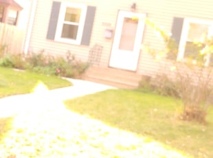 Leaf Removal by Kyle Anderson for Peter C. in Minneapolis, MN