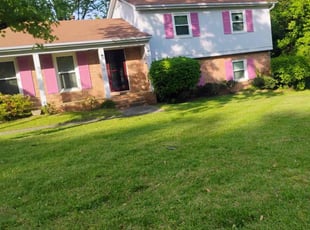 lan S.'s Lawn Maintenance service result