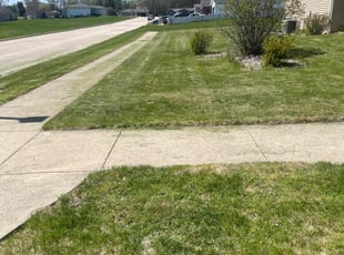 Troy T.'s Lawn Care service result