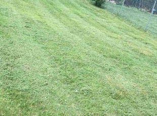 Trey J.'s Grass Cutting service result