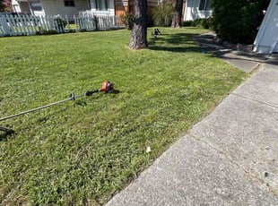 Sebastian H.'s Grass Cutting service result
