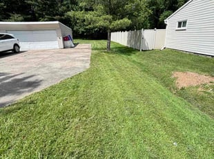 Marisa S.'s Lawn Care service result