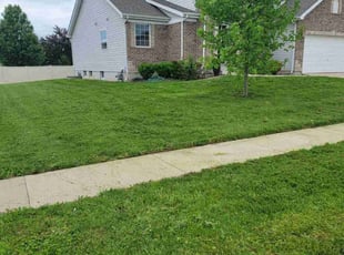Cindy D.'s Grass Cutting service result