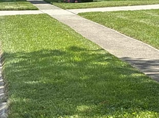 Crystal K.'s Lawn Care service result