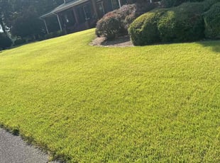 Andy Z.'s Grass Cutting service result