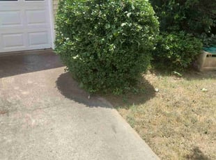 Bush Trimming by Marcus Clements for Roscoe F. in Riverdale, GA