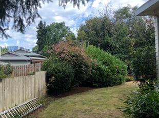 Cleanups by Jaelonie Ayres for Gina G. in Bellevue, WA