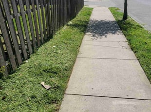 Juanita R.'s Grass Cutting service result