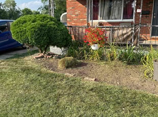 Weeding by Dave Ehrenberg for Julie D. in Columbus, OH